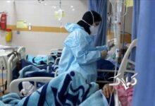 جزئیات مرگ و میر در اثر آنفولانزای نوع جدید؛ افزایش فوتی‌ها تقصیر آلودگی هواست؟