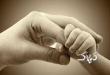 روایت زنانی که با جسمی محدود، عشقی نامحدود می‌آفرینند