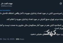 مدیرعامل خبرگزاری قوه قضاییه آمار ثابتی درباره زندانیان مهریه را نادرست خواند؛ سوژه به دست رسانه‌های مغرض ندهید