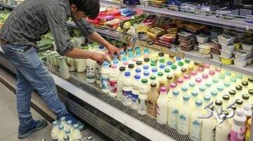 هشدار رسمی وزارت بهداشت درباره پیامدهای منفی گرانی مواد لبنی و پروتئینی بر سلامت ایرانیان