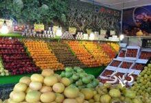 میدان میوه و تره‌بار به حالت نیمه تعطیل در آمد/ منتظر این تغییر در قیمت میوه‌ها باشید!