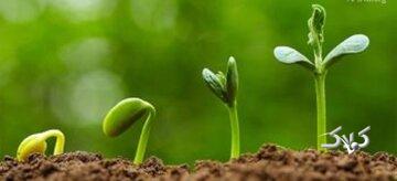 چرا قرآن جوانی را دوران طلایی میداند؟