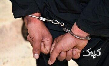 ۵۲ کیلو خرما به صرف شیشه