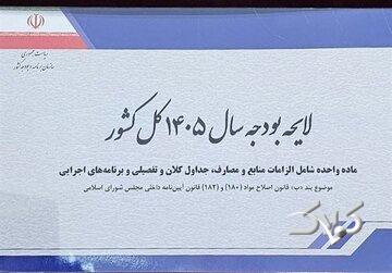 حقوقها در سال 1405 در لایحه پیشنهادی دولت چقدر افزایش یافته است؟/ توضیحات سخنگوی کمیسیون تلفیق درباره بودجه شرکتهای دولتی