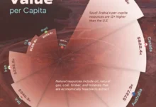 کشورهای دارای بیشترین منابع طبیعی