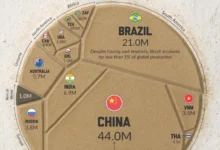 توزیع عناصر نادر خاکی در جهان ۲۰۲۵