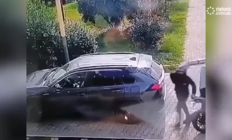 سارقان مسلح ترکیه ای