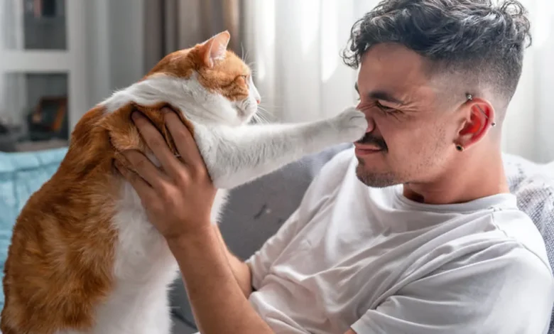 رفتار گربه ها