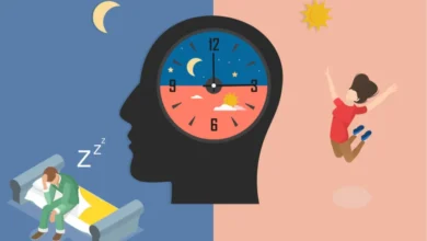 ریتم شبانه‌روزی بدن