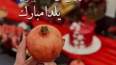 استوری نفیسه روشن