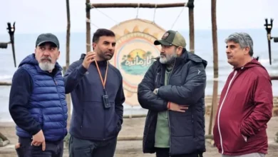 مهران غفوریان و سیامک انصاری