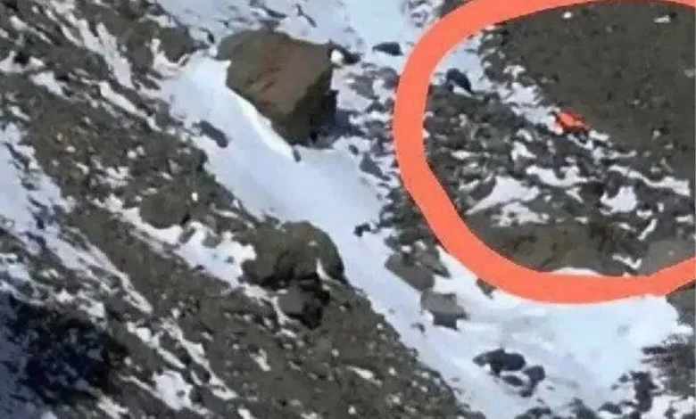 طاهره حاصلی