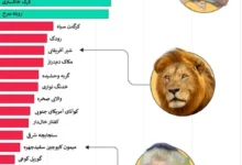 تک‌همسری در گونه‌های مختلف