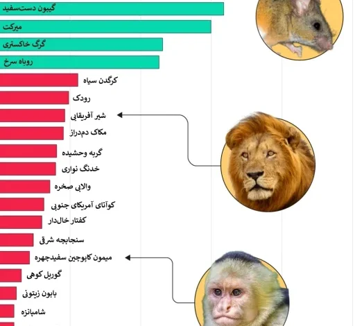 تکهمسری در گونههای مختلف