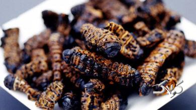 عجیب ترین رسوم کریسمس در سرتاسر جهان