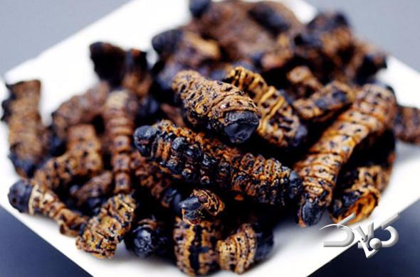 عجیب ترین رسوم کریسمس در سرتاسر جهان