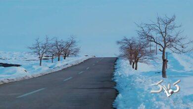 ایران برفی 1404