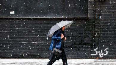 تصاویر بارش برف در شمال تهران