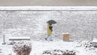 امروز ۴ استان کشور برای بارش برف و باران آماده باشند +زمان ورود سامانه بارشی جدید