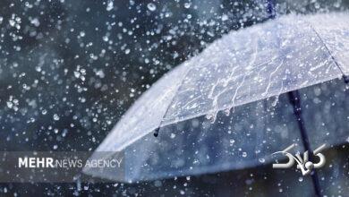 بارندگی تا دوشنبه در استان بوشهر ادامه دارد
