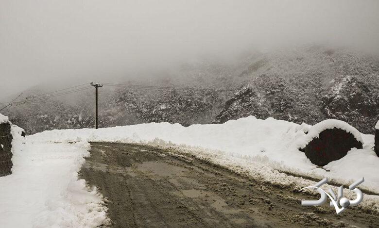این مناطق کشور چتر به دست باشند؛ بارش برف و باران در راه است +هواشناسی ۵ روز آینده