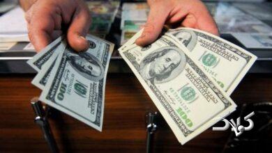 صرافی - ارز - دلار