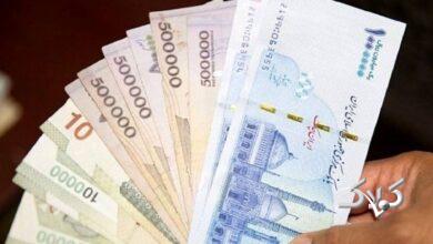 واریز ماهیانه یک میلیون تومان به ازای هر فرد با حذف ارز ترجیحی