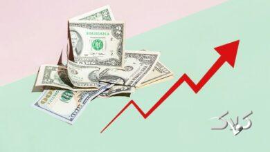 قیمت دلار، یورو و سایر ارزها امروز ۱۴ دی/ رشد عجیب قیمت دلار در یک ساعت!