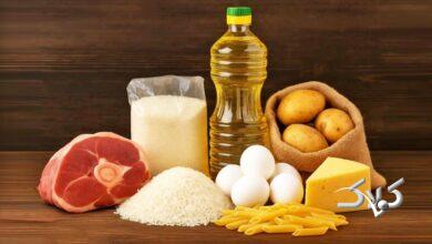 سخنگوی دولت فهرست 11 قلم کالای اساسی طرح معیشتی را اعلام کرد