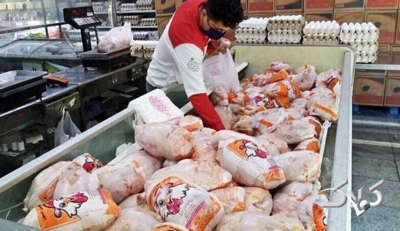 قیمت جدید مرغ اعلام شد/ مصرف ماهانه هر نفر چقدر است؟