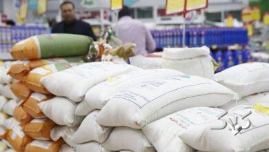 برنج ایرانی ارزان میشود؟ /پاسخ اتحادیه بنکداران مواد غذایی