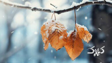 ورود سامانه قوی بارشی از روز چهارشنبه /این استان ها منتظر باران شدید باشند