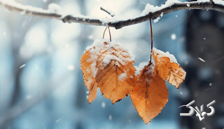 ورود سامانه قوی بارشی از روز چهارشنبه /این استان ها منتظر باران شدید باشند