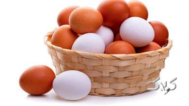 نوسان قیمتی بازار تخممرغ روزانه شد+ قیمت جدید