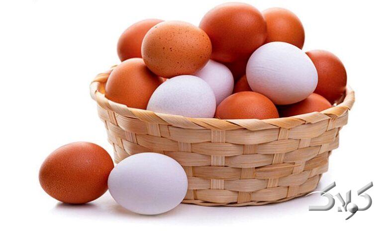 نوسان قیمتی بازار تخممرغ روزانه شد+ قیمت جدید