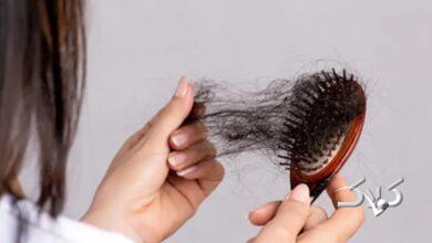 این خوراکیها باعث ریزش مو میشوند