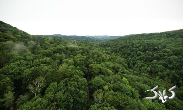 آن چه تنوع زیستی ایران را تهدید میکند؛ قوانین بایگانی میشود!