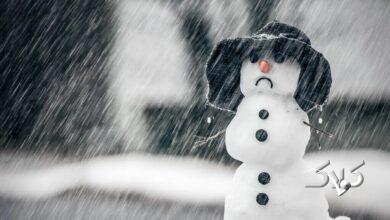 هشدار نارنجی هواشناسی از فردا تا اول بهمن صادر شد/ برف و کولاک برای این مناطق پیشبینی شد