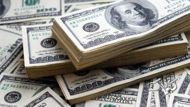 چرا خریدهای شتابزده طلا و ارز، بیشتر زیانآورند تا حافظ ارزش سرمایه؟