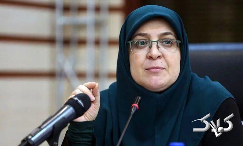 فاطمه مهاجرانی، سخنگوی دولت