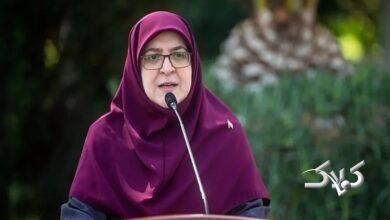 خبر مهم سخنگوی دولت برای خانوادههای دارای نوزاد شیرخوار