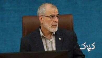 پرونده ۶۹۰ نفر از کشتههای حوادث اخیر دوباره بررسی میشود؟ +ویدیو