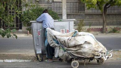 برنامه جدید شهرداری برای کاهش زباله گردی در شهر اعلام شد