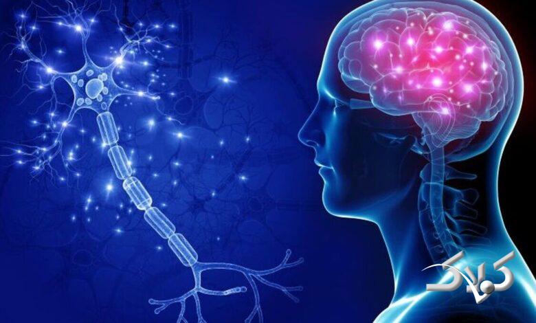 ۷ علامت هشداردهنده تومور مغزی که باد بدانید +اینفوگرافیک