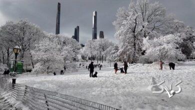 مدارس و ادارات این استانها فردا چهارشنبه اول بهمن تعطیل شد