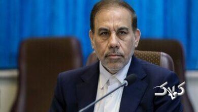 سخنگوی قوه قضاییه: تروریستها با خوی وحشیگری خودشان روی داعش را سفید کردند +ویدیو