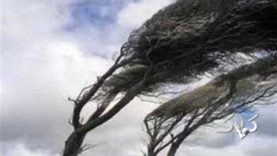 تندباد ۹۴ کیلومتری اردبیل را در نوردید