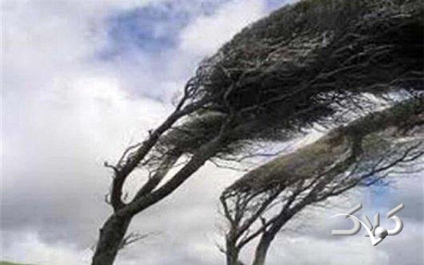 تندباد ۹۴ کیلومتری اردبیل را در نوردید