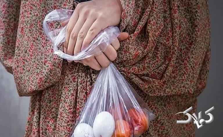 دولتمردان بدانند؛ نان نباشد همه چیز فرو میریزد