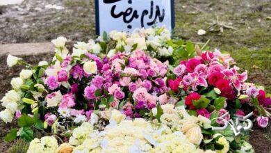 اولین عکس از آرامگاه بهرام بیضایی در آمریکا منتشر شد